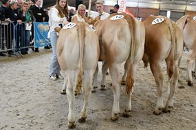 groep nak Ronaldo groep nak Ronaldo