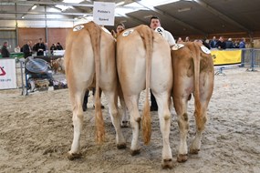 groep nak Poliste's Sjoerd groep nak Poliste's Sjoerd