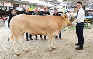 Miss Futur FIERBA 2025 Valexia vd Woeste Hoeve Miss Futur FIERBA 2025 Valexia vd Woeste Hoeve