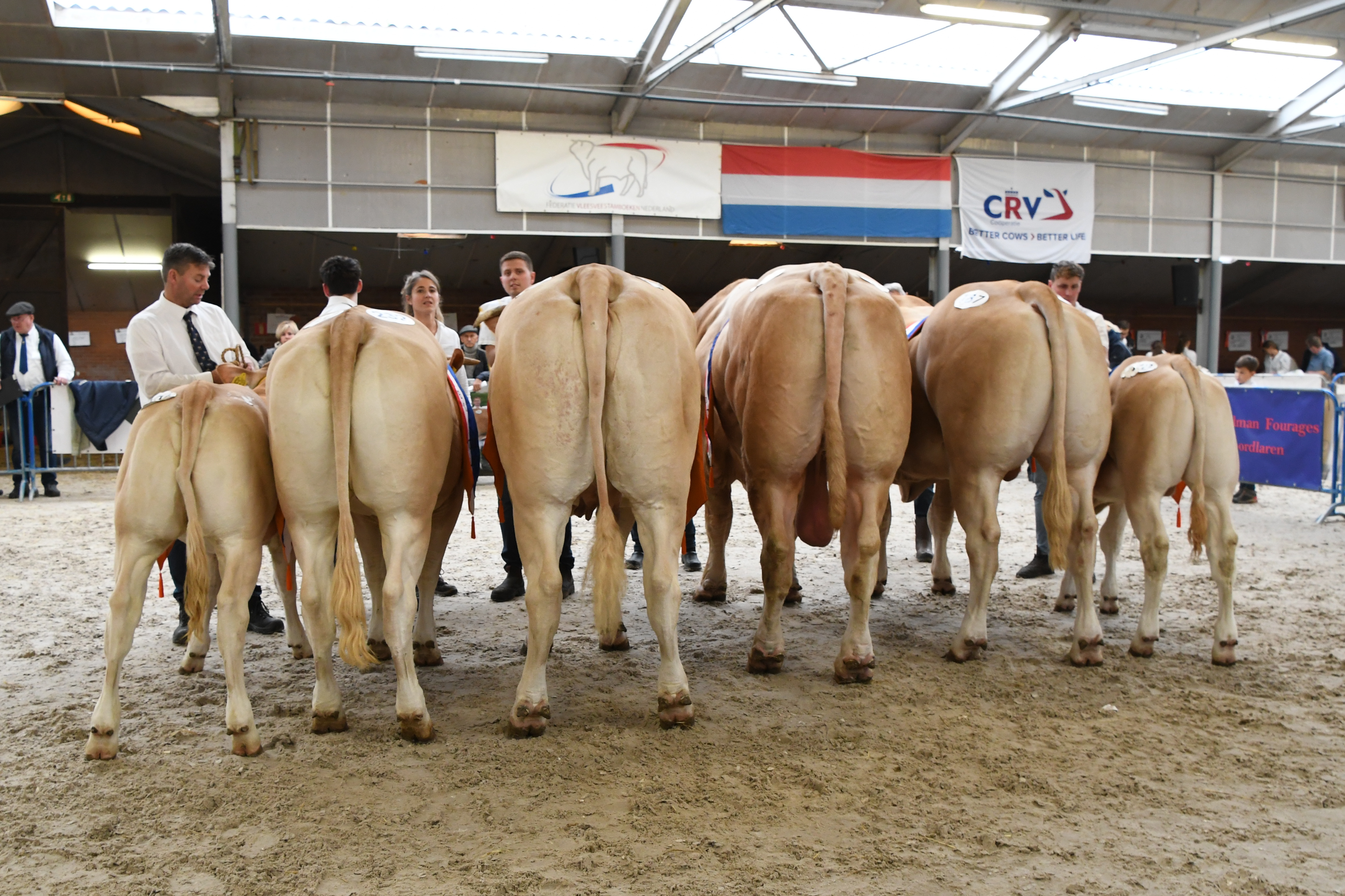 Terugblik met video NVM door VeeteeltVlees