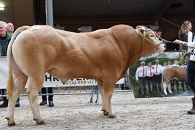 Udo Malo best Ned gefokt