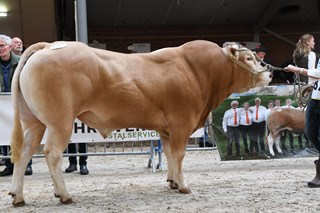 Udo Malo best Ned gefokt