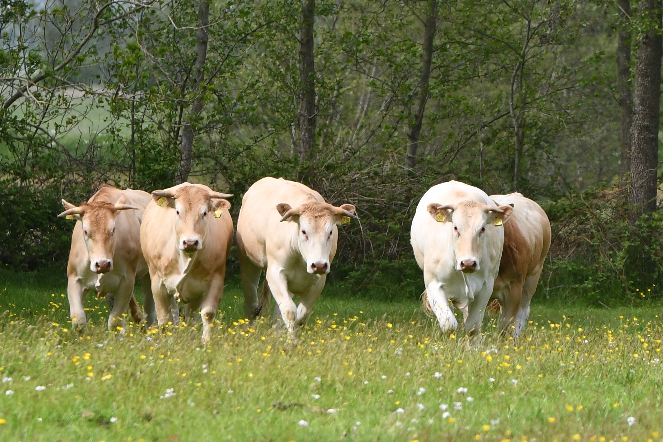 Opgave voor bedrijfsinspectie