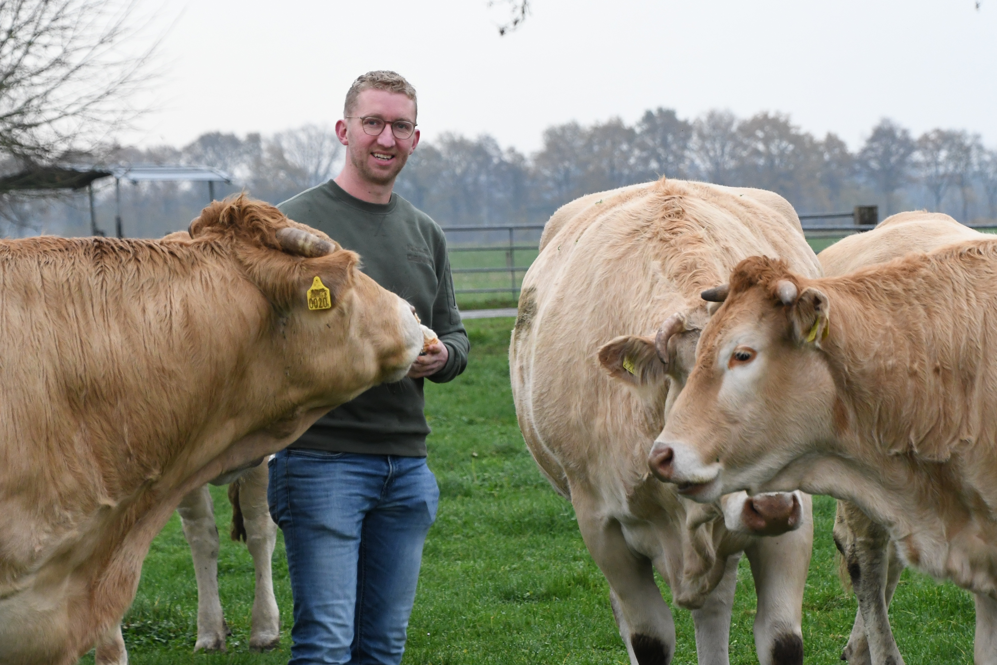 Bedrijfsverslag Dennis Houwers