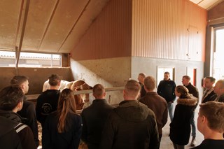 uitleg bij Blondestier