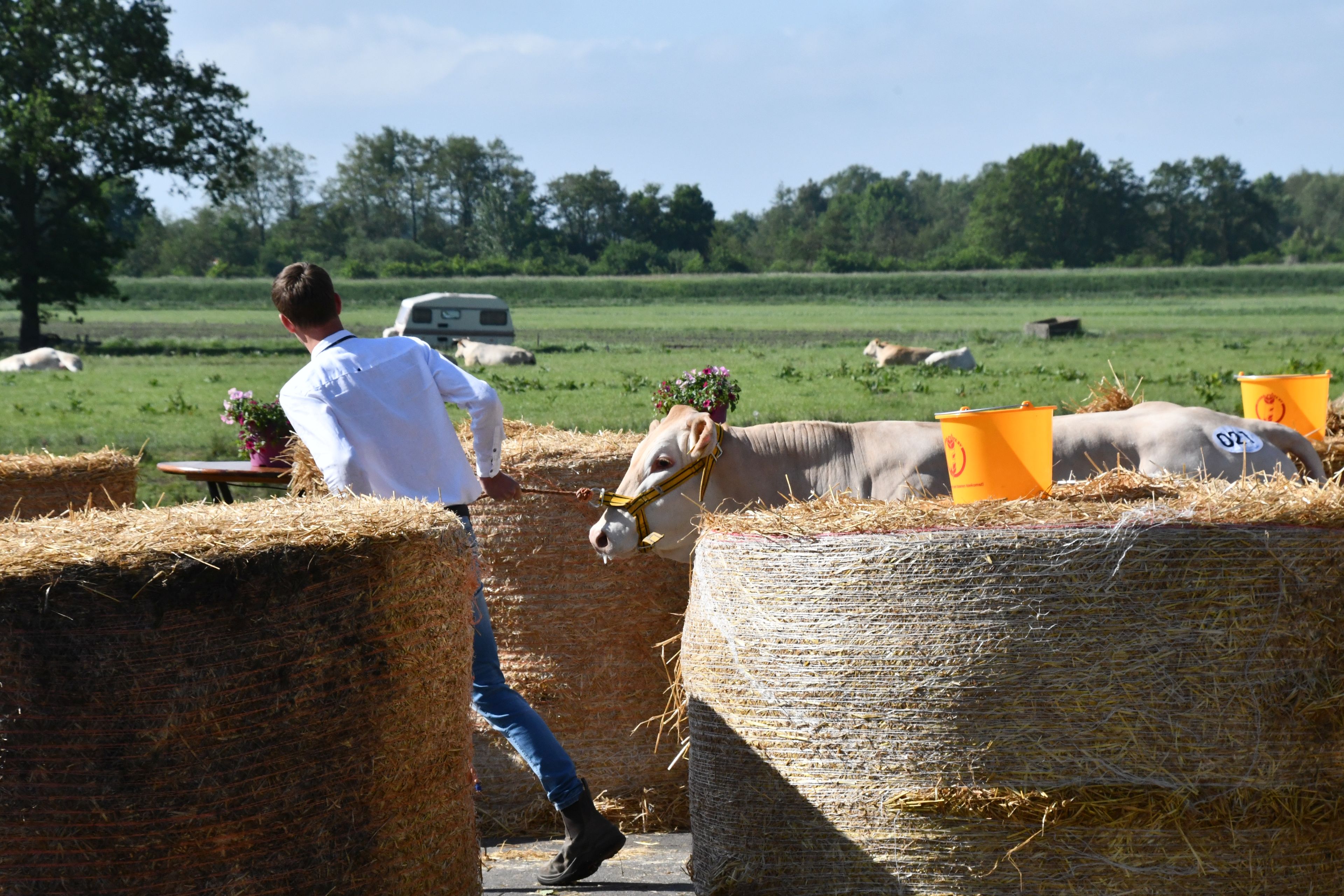 Wie wordt de beste voorbrenger in Koekange?
