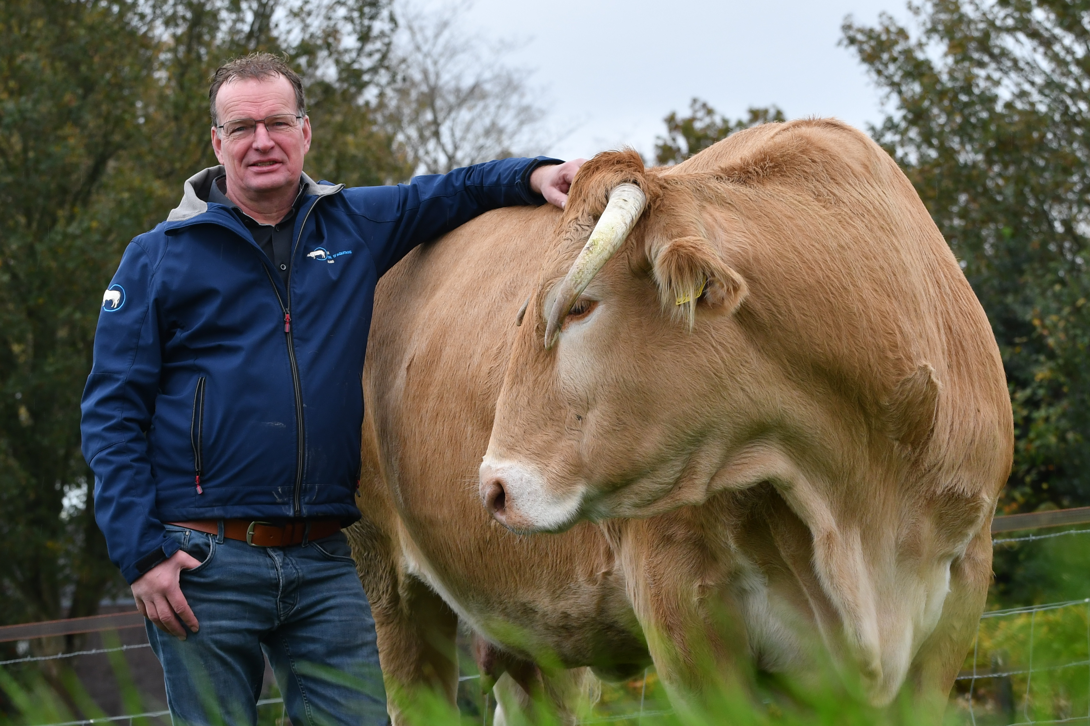 Harm Kip nieuwe voorzitter Fokadviescommissie