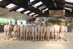 Koekange  keuring 2023