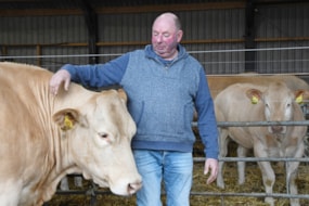 Gerard Klein Hofmeijer kan genieten van zijn Blondes