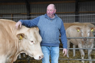 Gerard Klein Hofmeijer kan genieten van zijn Blondes