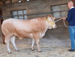 BAC Aston Martin vd B bij de foto sessie.