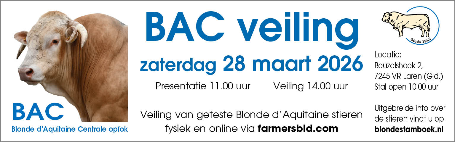 Video BAC veilingstieren