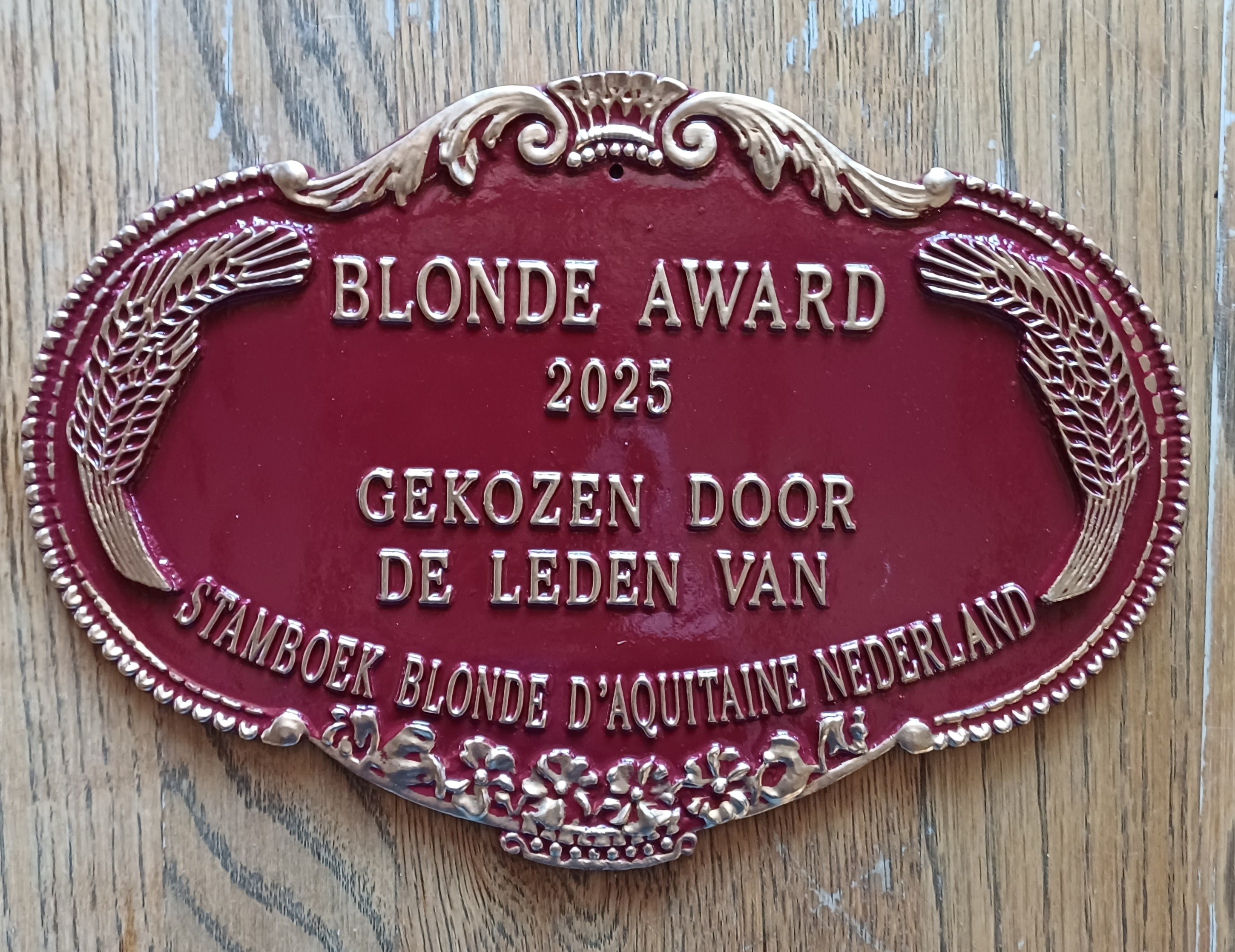 Wie nomineren jullie voor de Blonde Award