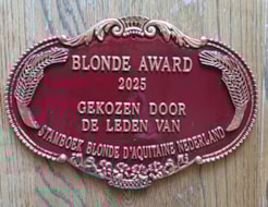 Blonde Award 2025