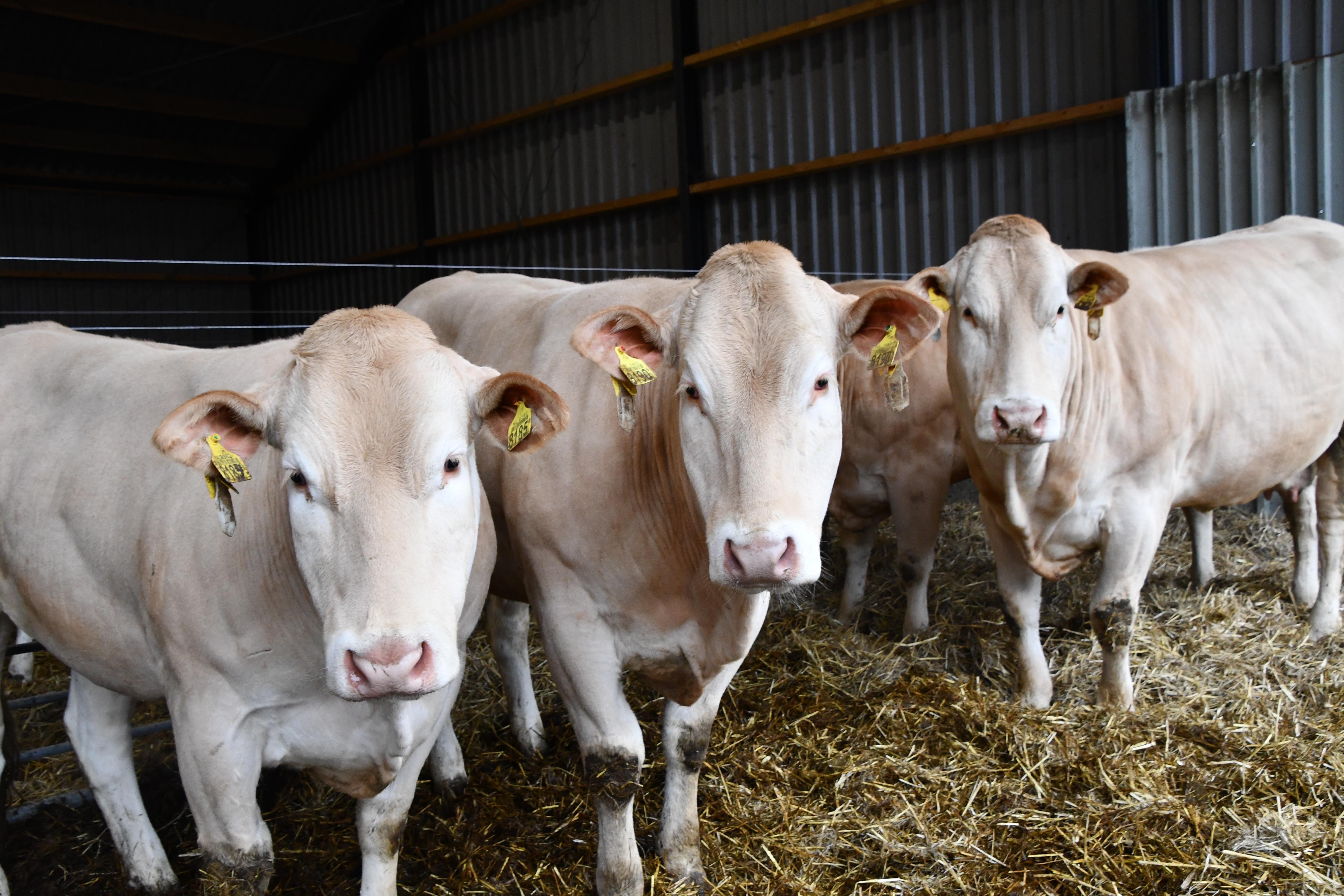 Bedrijfsverslag Gerard Klein Hofmeijer
