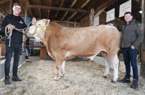 veilingtopper BAC Vodka van de Menningweer