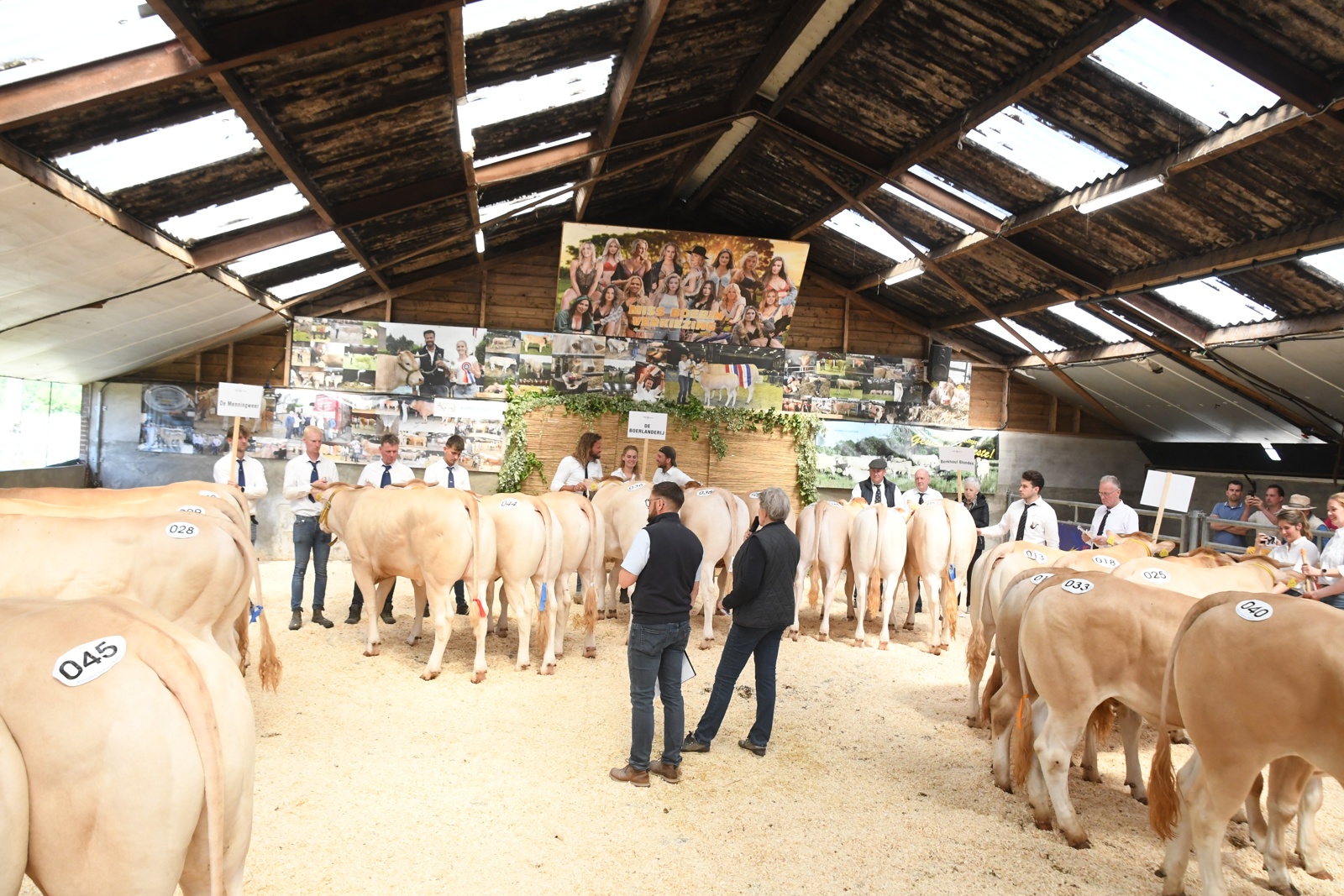Rubrieken van de jongveekeuring online