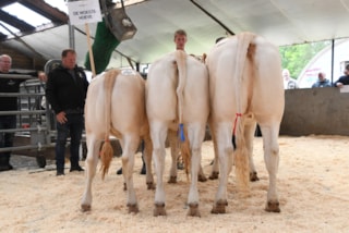 groep De Woeste Hoeve