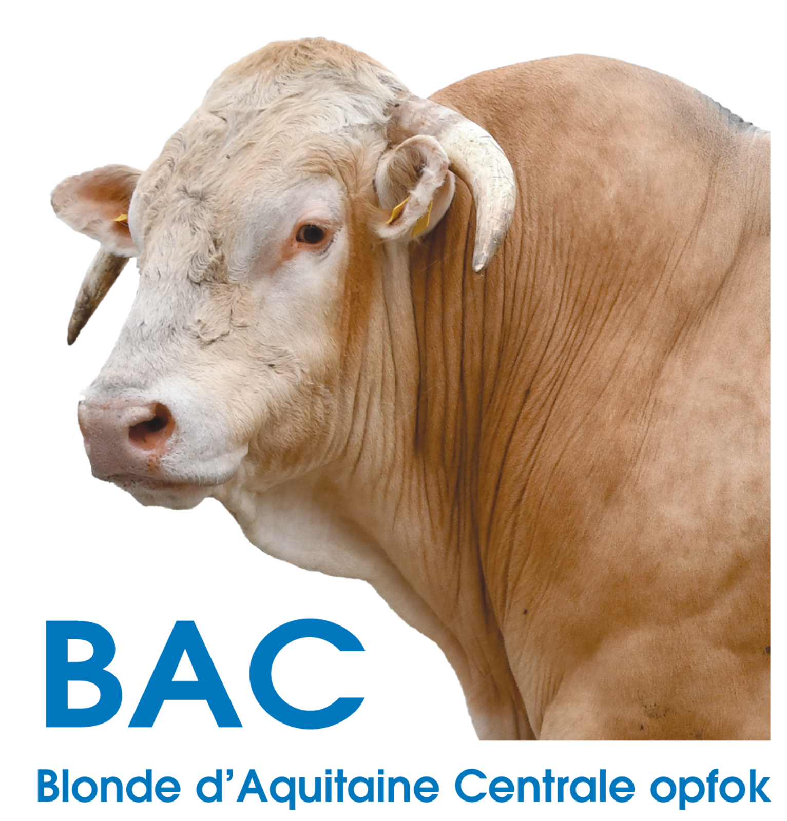 Aanmelden voor BAC opfokstation
