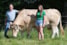 Aalt en Stefanie met Renate