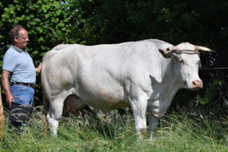 ontwikkeling zit in de genen