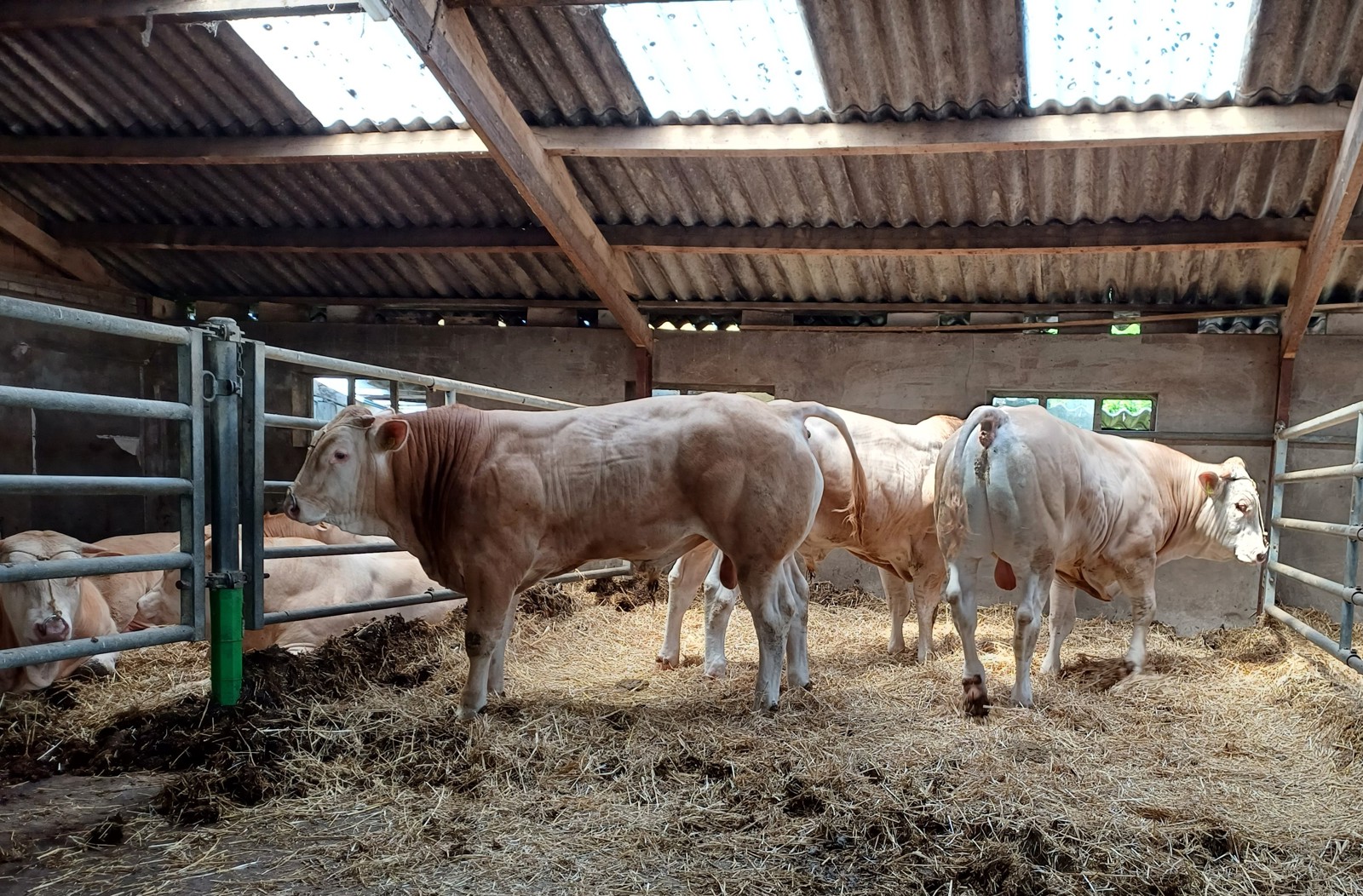Kijkdag BAC opfokstation