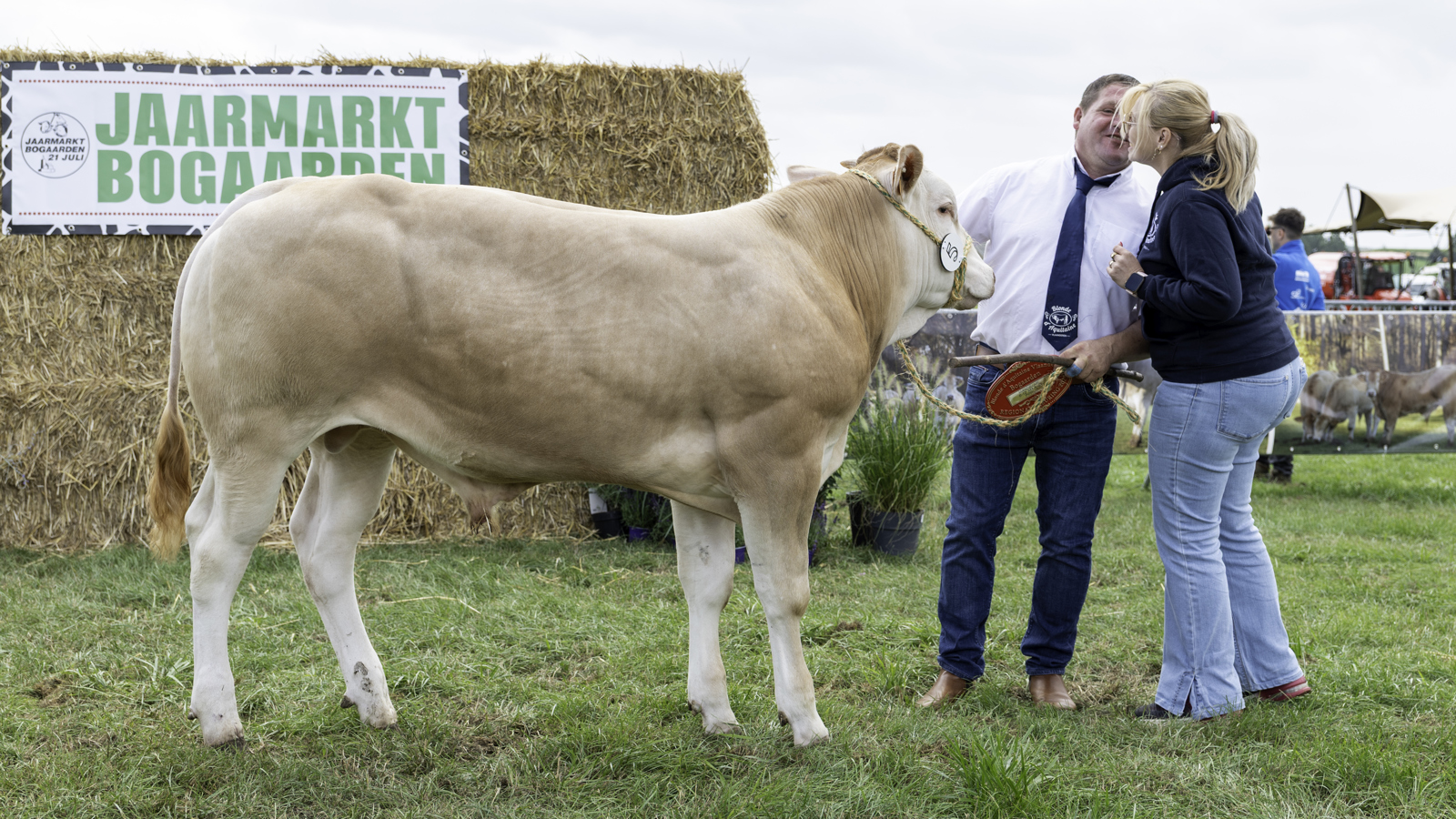 Blonde d'Aquitaine keuring in Libramont UPDATE