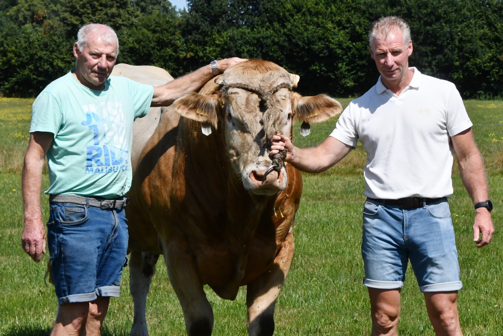 Johan en Jeroen Busch aan het woord in de fokkerijvisie