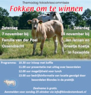 BLONDE FOKKEN OM TE WINNEN