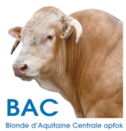 BAC STIER LOGO