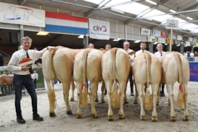 groep Marcel Gerritsen