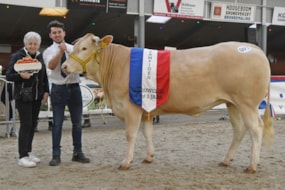 Valexia vd Woeste Hoeve