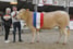 Valexia vd Woeste Hoeve