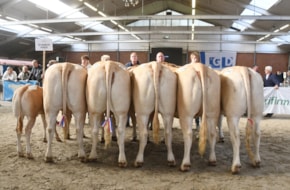 groep de Woeste Hoeve