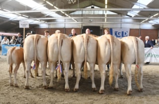 groep de Woeste Hoeve